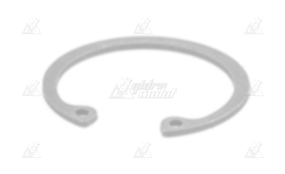 Кольцо стопорное Delta F-7 (SNAP RING) DF07C-0060 Φ20 картинка