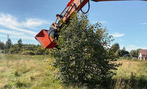 Impulse F4 1600 Standard R